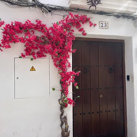 Corazon 23 * Κόρδοβα