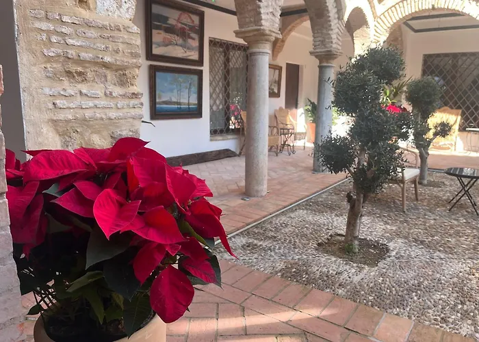 Corazon 23 Apartament