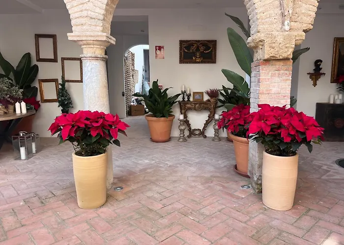 Corazon 23 Кордова