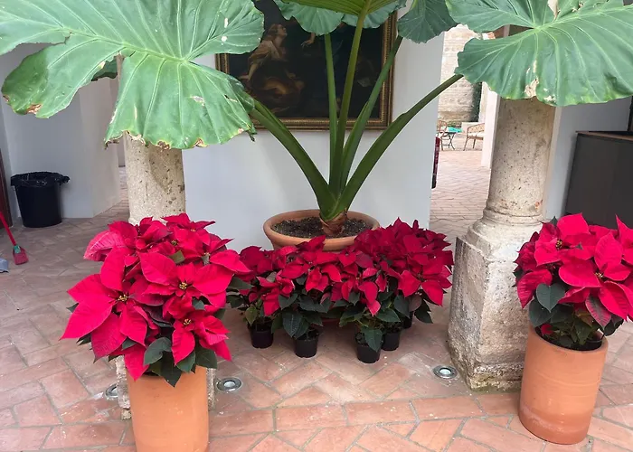 Apartament Corazon 23 Kordoba