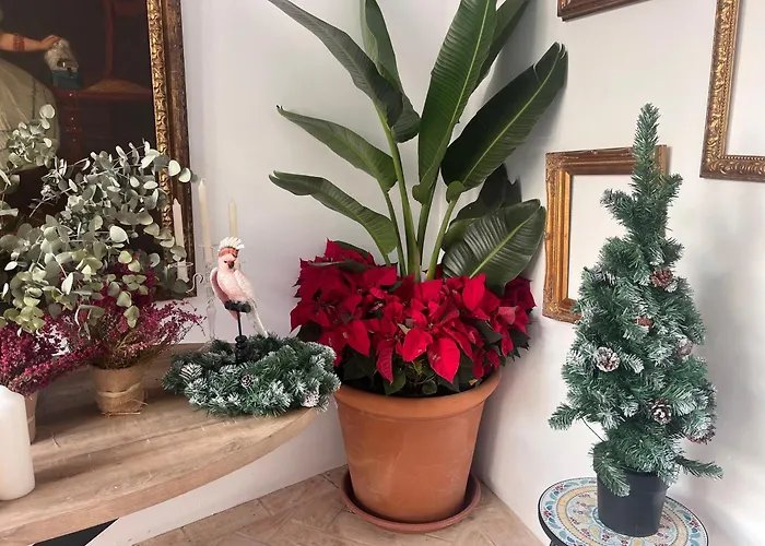 Apartament Corazon 23