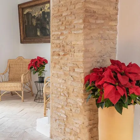 Corazon 23 * Córdoba