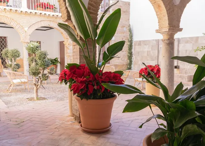 Corazón 23 Córdova