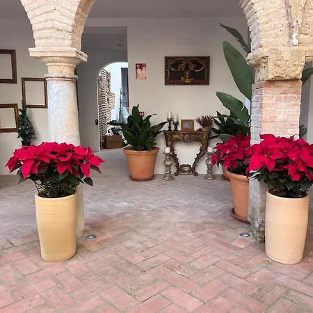 Corazon 23 Кордова